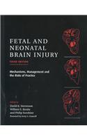 Fetal and Neonatal Brain Injury