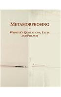 Metamorphosing