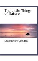 The Little Things of Nature