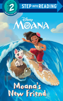 Moana's New Friend (Disney Moana)