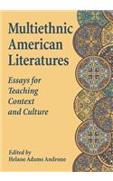 Multiethnic American Literatures