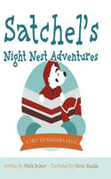 A Trip to Niagara Falls: Satchel's Night Nest Adventures
