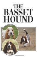 The Basset Hound