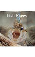 Fish Faces 2018