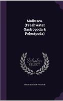 Mollusca. (Freshwater Gastropoda & Pelectpoda)