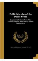 Public Schools and the Public Needs