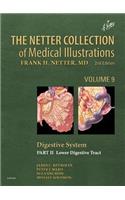 Netter Collection of Medical Illustrations: Digestive System: Part II - Lower Digestive Tract