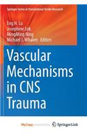 Vascular Mechanisms in CNS Trauma