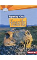 Figuring Out Fossils