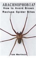 ARACHNOPHOBIA? How to Avoid Brown Recluse Spider Bites