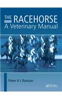 The Racehorse