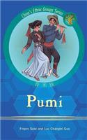 Pumi: with Statistical Data