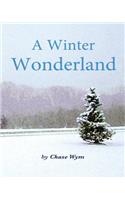 A Winter Wonderland