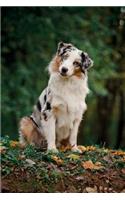 Australian Shepherd Winter Notebook & Journal. Productivity Work Planner & Idea Notepad: Brainstorm Thoughts, Self Discovery, To Do List