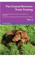 Flat-Coated Retriever Tricks Training Flat-Coated Retriever Tricks & Games Training Tracker & Workbook. Includes: Flat-Coated Retriever Multi-Level Tricks, Games & Agility. Part 3
