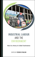 Industrial Labour and the Environment: Notes for a History of a Global Transformation
