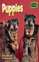 Puppies Mini Box Calendar 2023