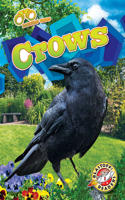 Crows: (Backyard Birds)