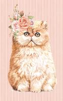 The Cat Lover Collection