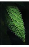 Nettle Leaf Journal: Blank Notebook Diary Memoir Log Logue(45 Go Green 365 Lined)