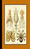 Vintage Botanical Illustration Journal: Ernst Haeckel - Gamochonia Squid Octopus Lined Journal for the Marine Biologist, Oceanographer and Sealife Lover