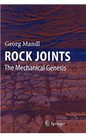 Rock Joints