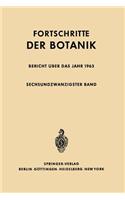 Bericht Über Das Jahr 1963