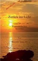 Zurück ins Licht