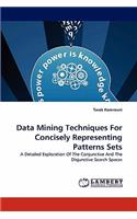 Data Mining Techniques for Concisely Representing Patterns Sets