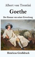 Goethe (Großdruck)