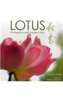Lotus