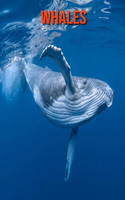 Whales