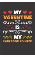 My Valentine Is My Labrador Pointer