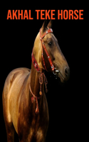 Akhal Teke Horse