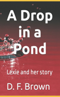 Drop in a Pond