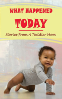 What Happened Today: Stories From A Toddler Mom