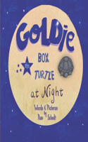 Goldie the Box Turtle at Night