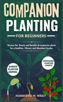 Companion Planting for beginners