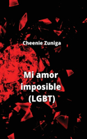 Mi amor imposible (LGBT)