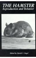 Hamster