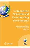 Collaborative Networks and Their Breeding Environments