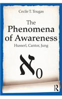Phenomena of Awareness