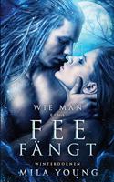 Wie Man Eine Fee Fängt: Fantasy Romantik(1 Winterdornen)