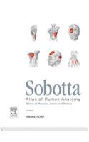 Sobotta Tables of Muscles, Joints and Nerves, English/Latin