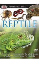 Eyewitness DVD: Reptile