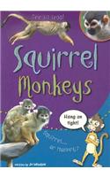Squirrel Monkeys