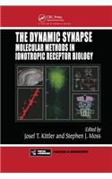 Dynamic Synapse