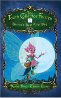 Tooth Collector Fairies