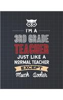 I'm A 3rd Grade Teacher Just Like A Normal Teacher Except Much Cooler