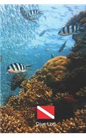 Dive Log